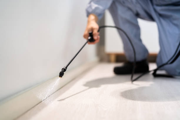 Licensed Ant Control service in Johnston County County, OK - Nex Pest Control