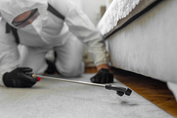 Professional Ant Control technician working in Johnston County County, OK